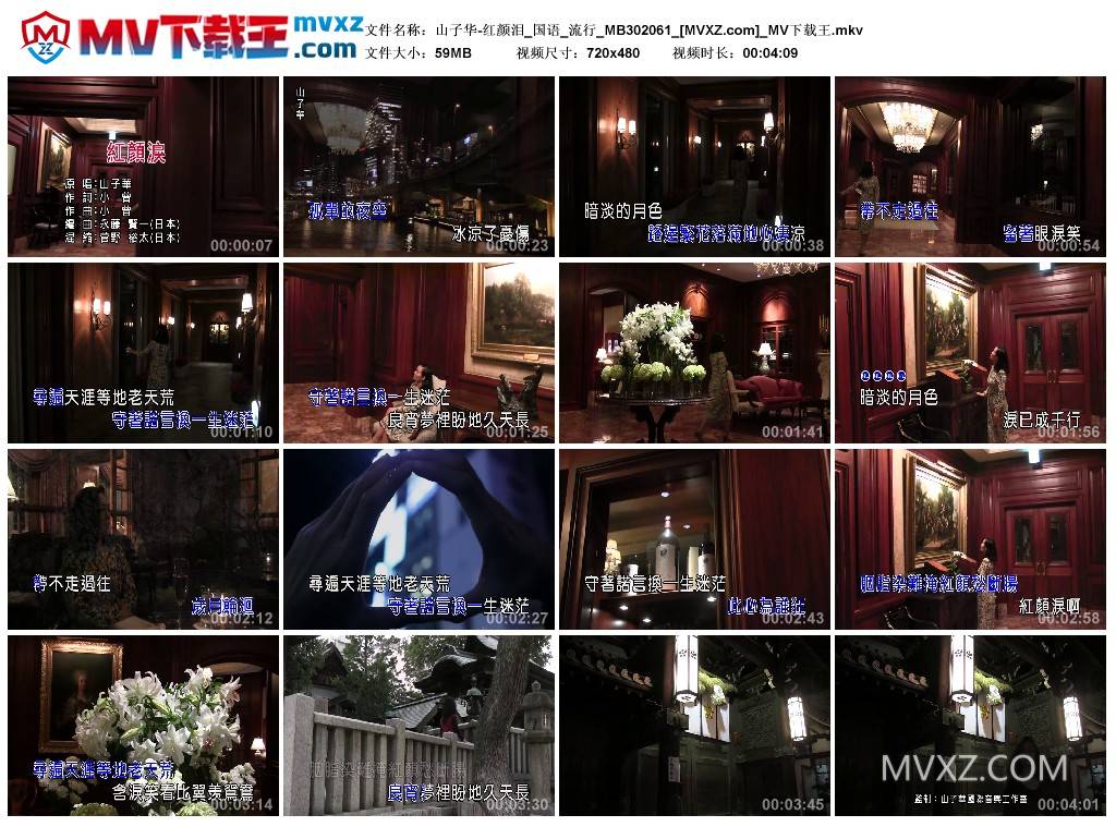 山子华-红颜泪_国语_流行_MB302061